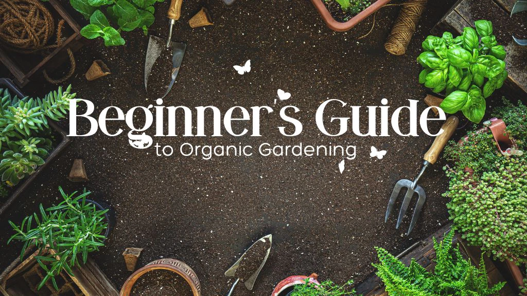 Start Your Organic Garden: A Beginner's Guide to Organic Gardening Start Your Organic Garden: A Beginner's Guide to Organic Gardening